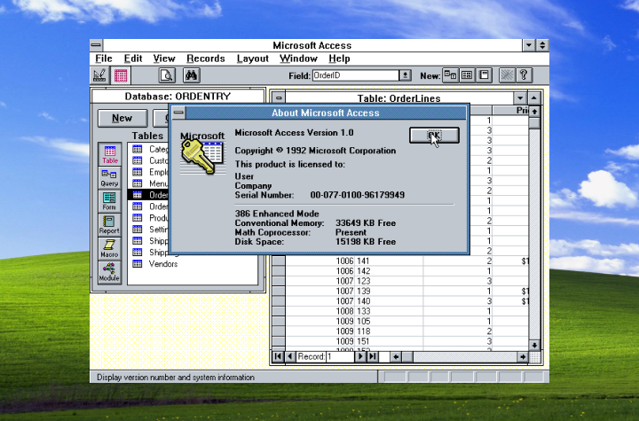 Microsoft Access - Windows 95